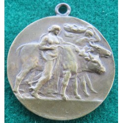 Medaglia in bronzo Mostra Zootecnica Rifredi Firenze 1929