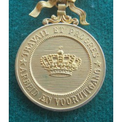 Medaglia Belgio Ordine della Corona