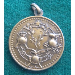 Bronze medal NCO Training School  Rieti